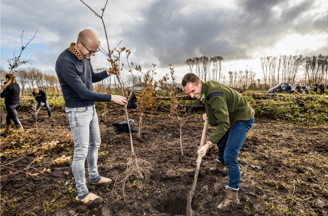 2 mannen die een boom planten.